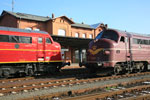 Begegnung in Haldensleben Hbf zwischen 1149 und 1138