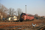 1138 im Bw Haldensleben
