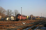 1138 mit Bauzug in Haldensleben