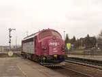neg MY 1154 am 14.04.2005 in Niebll DB