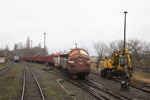 1155+1151