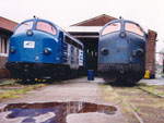 V170 1151+V170 1131+V170 1127 in Haldensleben