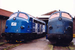 V170 1151+V170 1131 in Haldensleben