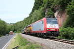 Igel 20.05.2011