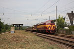 Igel 20.05.2011