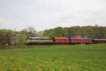 Di 3 602 am 14.05.2010 mit Sonderzug nrdlich von Frslv