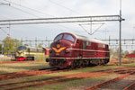 DSB MX 1001 und NSB Di 3 602