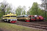 T43 239, Di 3 602, T 41 200, MX 1001 und MY 1159 beim GM Konzert am 15.05.2010