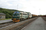 Pnktlich auf die Minute, rollt am 18.06.2007 Zug 8705 um 20.40 Uhr in Hell ein